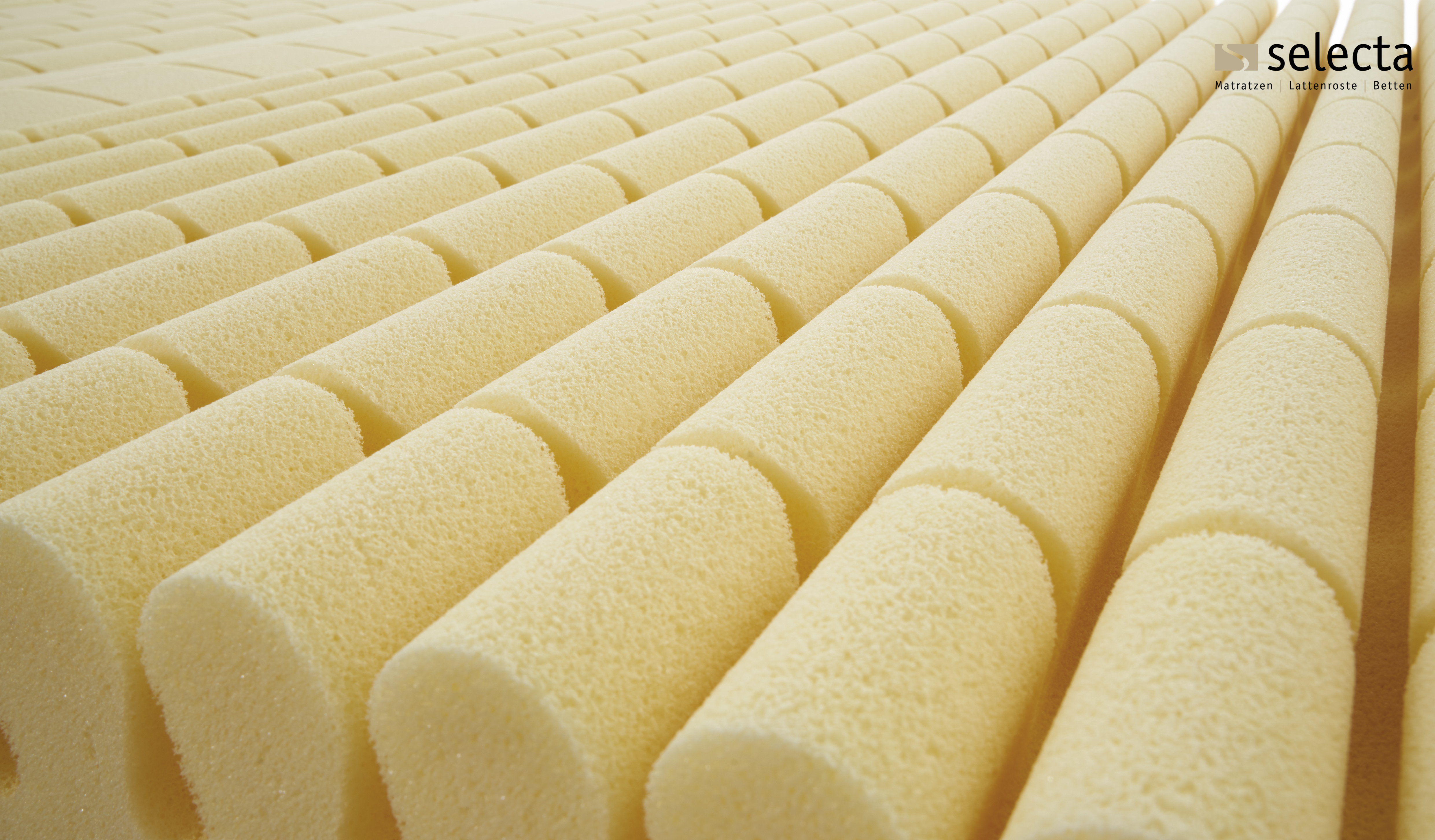 Kaltschaum-Matratze S19
