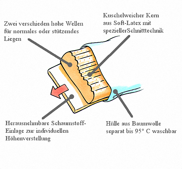 billerbeck-latexi-1_mit_Text Querschnitt Latexi