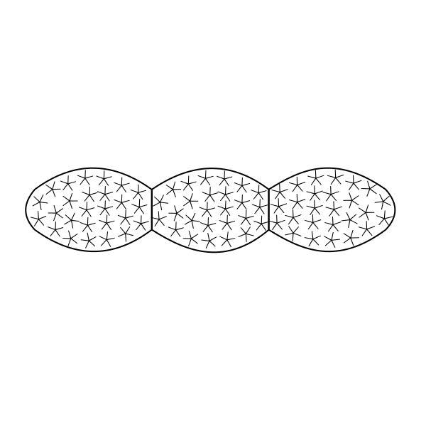 Bauchschläferkissen Querschnitt Kissen TERZO 250