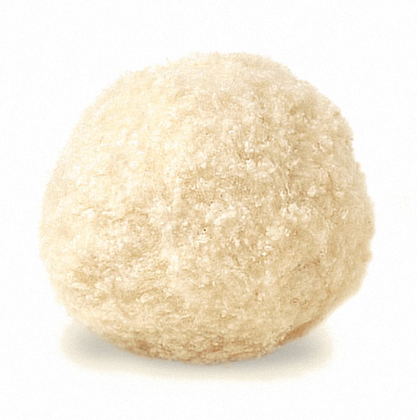 Wildseide 100% Wildseide