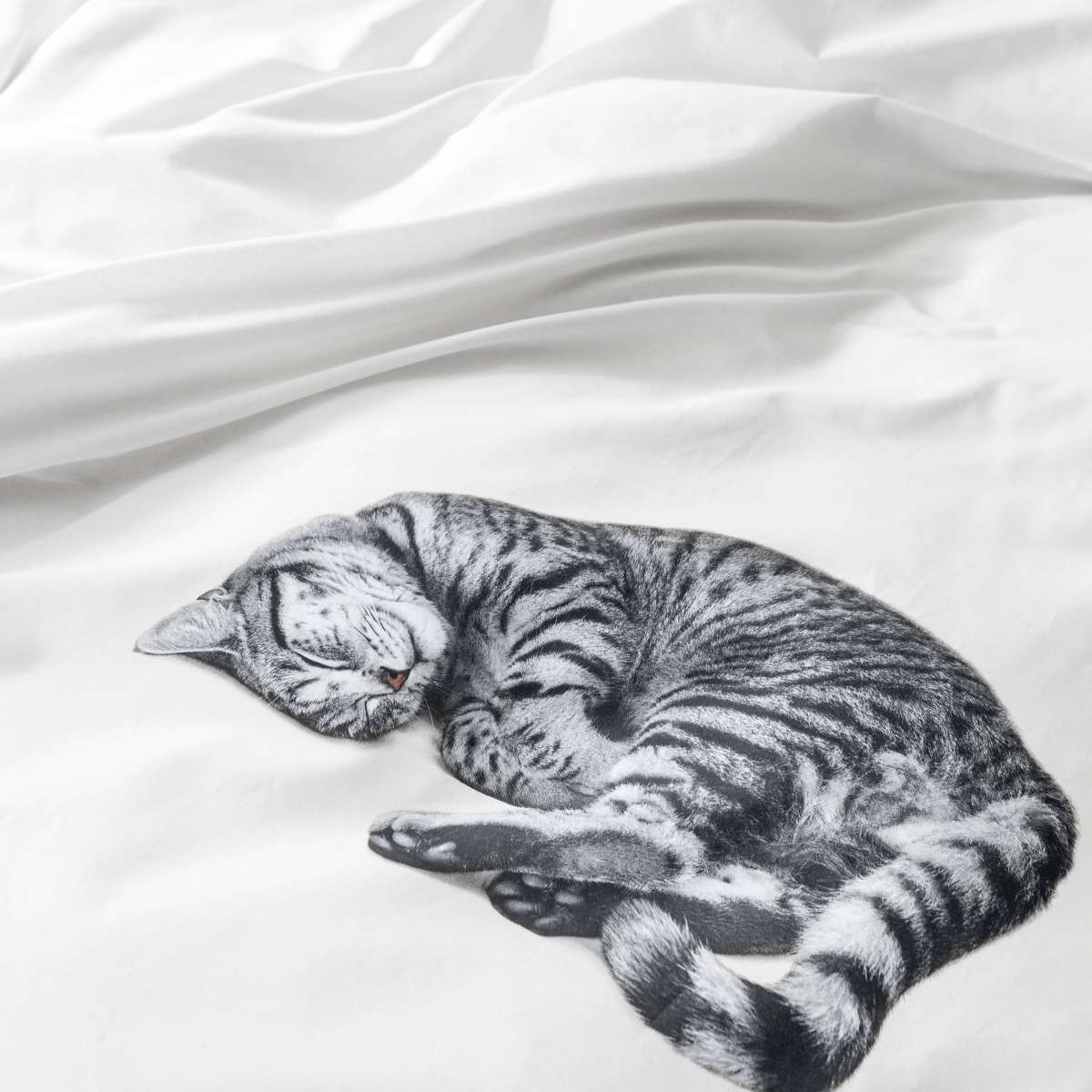 Detailmotiv-Katze-Ollie-auf-Bettwasche-Snurk Detailmotiv Bettwäsche Kater Ollie von SNURK