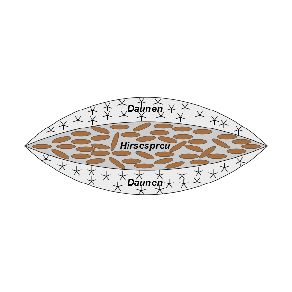 3-Kammer-Kissen-Hirsespreu_Daunen Querschnitt CASA HIRSE