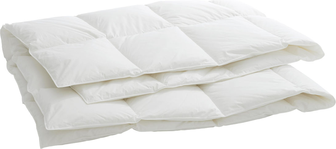 Organic-Coose-Medium_zu58c8e99aa1ffe Daunenduvet GOOSE Superlight